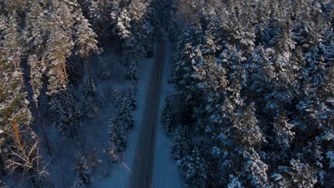 Slowly-flying-towards-the-above-country-road-in-the-middle-of-the-cold-snowy-winter-forest