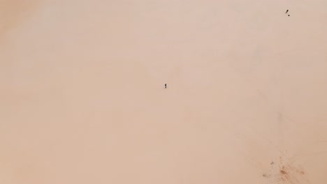 High-aerial-topd-down-view-of-man-walking-on-sand-dunes