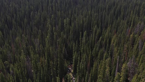 Aerial-View-of-Endless-Coniferous-Forest-on-Mountain-Hills