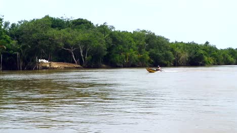 Ein-Einsamer-Fischer,-Der-Mit-Einem-Schnellboot-Den-Fluss-Entlang-Durch-Einen-üppigen-Grünen-Mangrovenwald-Fährt