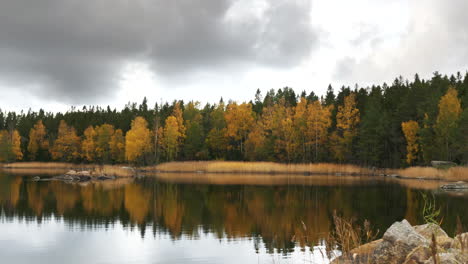 Wide-static-view-of-still-lake-and-colorful-autumn-trees-by-shoreline