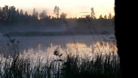 Lapso-De-Movimiento-De-La-Niebla-Moviéndose-Sobre-El-Lago-Inmóvil-Por-El-Bosque-En-Finlandia-Al-Atardecer