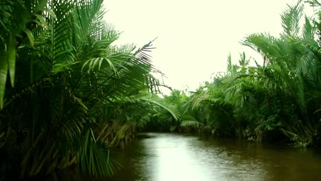 Tropische-Kreuzfahrt-Durch-Einen-Dschungelfluss-Im-Regen