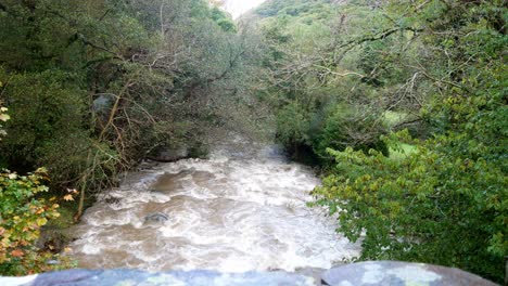 Fuertes-Lluvias-Inundaciones-Repentinas-Río-Tormenta-En-El-Desierto-Del-Bosque-Izquierda-Dolly