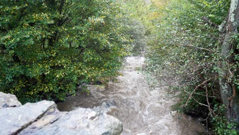 Starker-Starker-Regen-überschwemmung-Fluss-Spritzt-Sturmwasser-Wald-Wildnis-Dolly-Rechts
