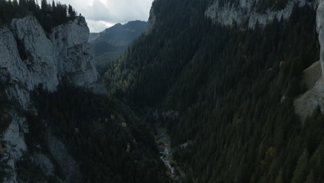 Aerial-ascending-view-between-two-rocky-mountains-covered-in-pine-forest-and-a-little-river-in-the-middle-4K