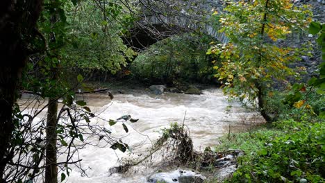 Inundaciones-Rápidas-Río-Que-Fluye-Bajo-El-Follaje-Del-Bosque-Rural-Puente-De-Piedra-Arqueado-Desierto-Dolly-Izquierda