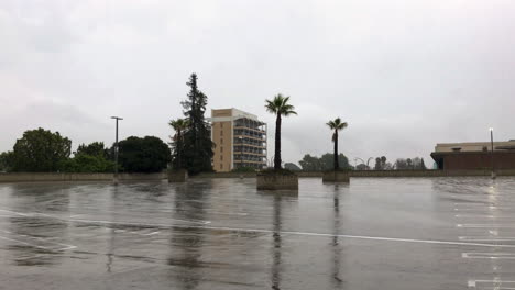 Rain-falls-on-empty-parking-lot-on-a-dark-day-with-palm-trees-and-buildings-in-distance