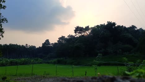 Slomo-zoom-in-shot-of-countryside-landscape-at-sunset