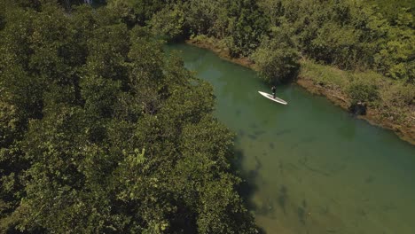 Aerial-drown-birds-eye-view-of-paddle-boarders-slowly-paddling-up-river-surrounded-by-tropical-jungle