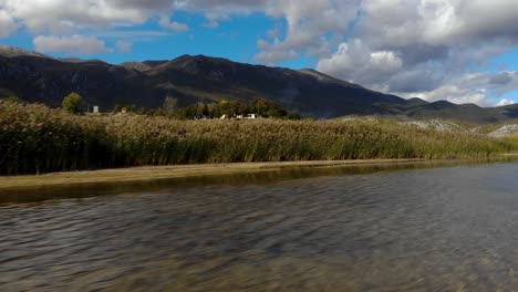 Lake-shore-with-reeds-near-shallow-water,-natural-habitat-of-birds-in-Prespa,-Albania