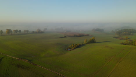 Bright-green-grass-fields-of-Napromek,-Poland--aerial