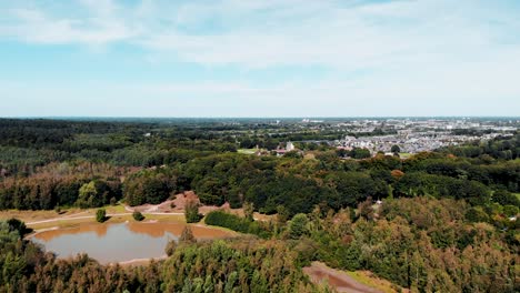 Rotterdam-woodland-forest-landscape-aerial-view-above-trees-towards-lake