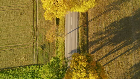 Blick-Von-Oben-Auf-Bäume-Und-Straße-Durch-Ländliche-Felder-Im-Herbst-In-Napromek,-Polen
