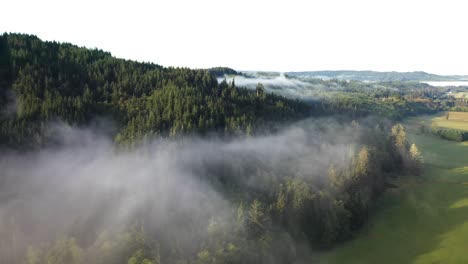 Fliegen-über-Nebel-Und-Grüne-Landschaft-Am-Sommermorgen,-Drohne-Luftaufnahme-Der-Landschaft-Des-Staates-Washington-In-Der-Nähe-Von-Forks-City-Usa