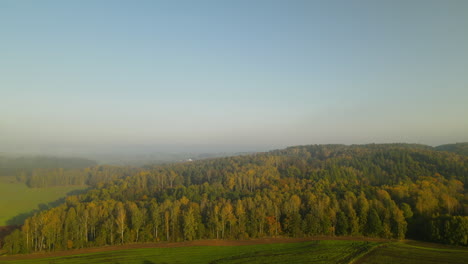 Ruhige-Naturlandschaft-Mit-Dichtem-Baumwald-Und-Wiesen-Unter-Blauem-Himmel-Durch-Nebligen-Morgen-In-Der-Nähe-Des-Dorfes-Napromek-In-Nordpolen