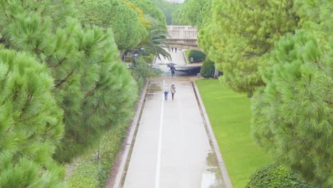 A-walk-in-the-heart-of-greenery-in-amazing-weather-at-Valencia,-Spain