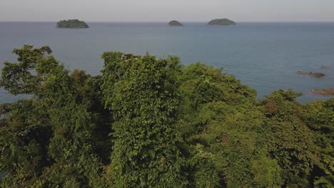 Aerial-birds-eye-drone-dolly-tilt-down-shot-flying-over-tropical-dense-jungle-rain-forest-trees-and-vegetation-with-ocean-and-Islands-in-the-background,-60fps