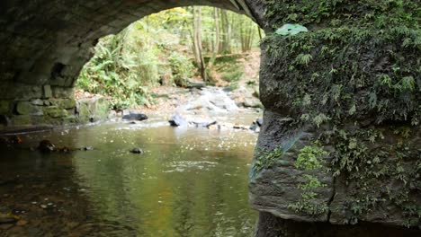 Flowing-Autumn-woodland-forest-stream-under-stone-arch-bridge-wilderness-foliage-dolly-left