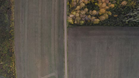Satisfying-downward-view-of-agriculture-field-with-straight-dirt-road