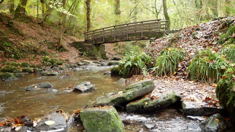 Wooden-bridge-crossing-over-natural-flowing-mountain-stream-in-Autumn-forest-woodland-wilderness-low-right-dolly