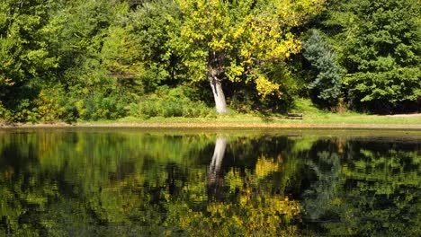 Trees-of-park-and-bench-on-shore-of-peaceful-lake,-symmetry-reflected-green-yellow-leaves
