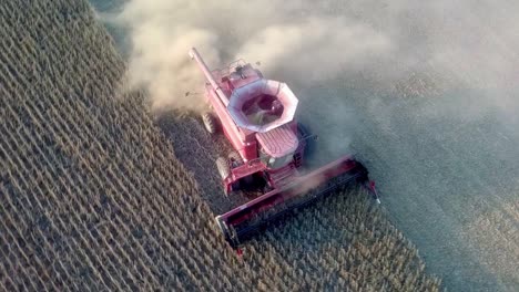 Red-combine-harvesting-beans-in-dusty-field-near-sundown-in-the-Midwest-USA