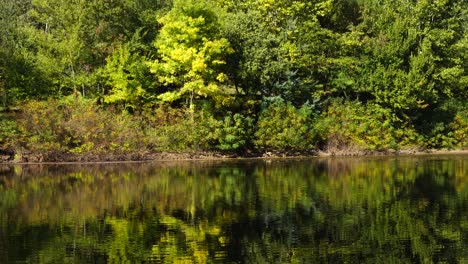 Park-Mit-Grüngelben-Bäumen,-Die-Am-Sonnigen-Herbsttag-Auf-Ruhigem-Seewasser-Reflektieren