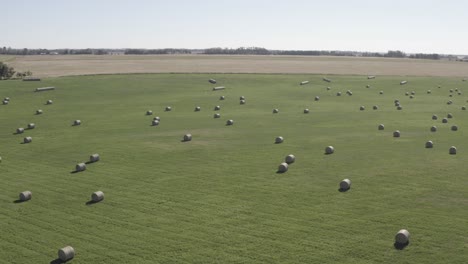 aerial-panaramic-fly-over-rise-circular-bales-of-hay-arranged-symetrically-over-farmland-green-grassland-seperated-by-small-forests-on-a-sunny-afternoon-clear-skys-2-2