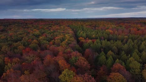 Aerial-view-of-beautiful-woodland-full-of-fall-colors