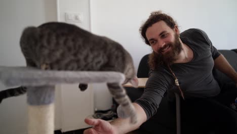 Bearded-man-stays-at-home-sitting-on-the-living-room's-sofa-and-plays-with-his-cat-that-is-on-the-scraper