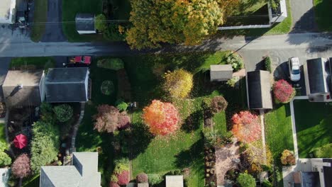 Top-down-aerial-of-colorful-fall-trees-in-neighborhood-community