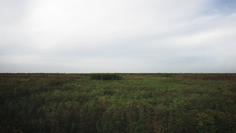 Zurückschwenken-Von-Drohnenaufnahmen-Eines-Grünen-Waldes-Mit-Einigen-Weißen-Wolken-Im-Hintergrund