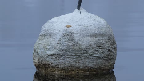 Styrofoam-mooring-buoy-on-boat-Harbour-during-a-cold-foggy-day---Close-up-tilt-down-shot