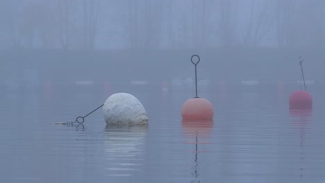 White-and-red-mooring-and-signalling-buoys-on-a-misty-cold-Harbour---Wide-shot