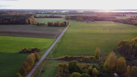 Countryside-road-aerial-view-in-sunset-light-with-lake-in-background-golden-hour