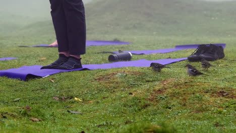 Low-angle-pan-shot-of-people-standing-on-yoga-mat-outdoors-and-birds-looking-for-food