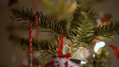 Candy-Canes-And-A-Christmas-Bauble-In-A-Real-Fir-Christmas-Tree,-Static-Shot
