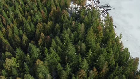 Luftaufnahme-Des-Zugefrorenen-Sees-Und-Des-Riesigen-Immergrünen-Waldes