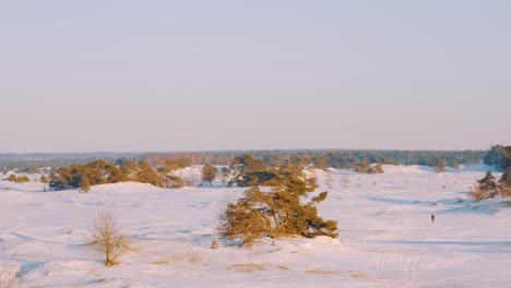 Snowy-winter-landscape-during-sunset-in-slow-motion