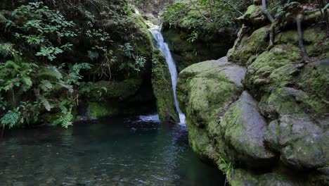 Beautiful-Waterfall-Cascading-into-Pool-of-Water-in-New-Zealand-Jungle