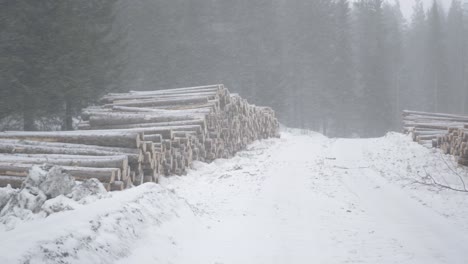Holzpfähle-Sägewerk-Lagerung-Unter-Rauem-Nordischen-Winter-Blizzard-Whiteout---Breiter-Statischer-Schuss