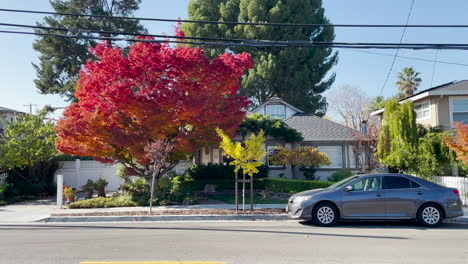Shot-of-house-with-red-tree-and-car