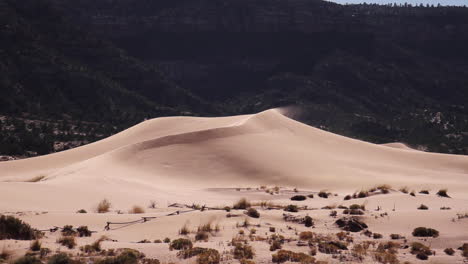 Sand-Weht-über-Dünen-Im-Zion-nationalpark