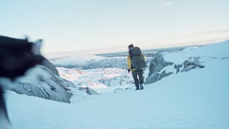 Malamute-De-Alaska-Corriendo-Alcanzando-A-Un-Montañero-Con-Mochila-Caminando-Cuesta-Abajo-Cubierto-De-Nieve-En-Invierno
