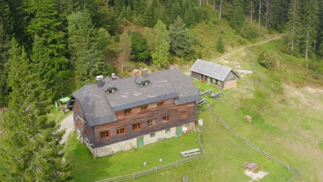 Beautiful-aerial-drone-view-at-wooden-mountain-hut