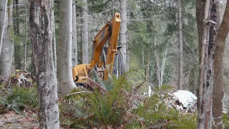 Shot-through-forest-of-excavator-working-with-ferns-in-foreground
