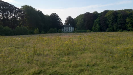 moving-through-field-with-wild-dandelions-towards-a-classic-manor-in-the-background
