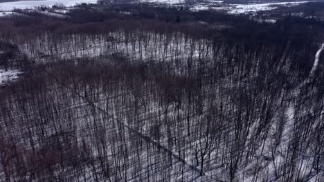 Aerial-shot-over-a-forest-in-winter