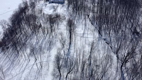 Luftaufnahme-über-Einem-Wald-Im-Winter